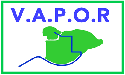 VAPOR Logo